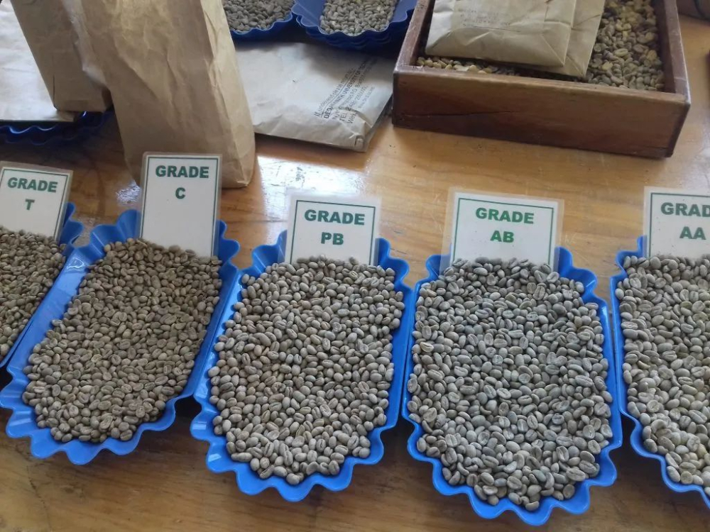 1765608979859828 1765608979859828