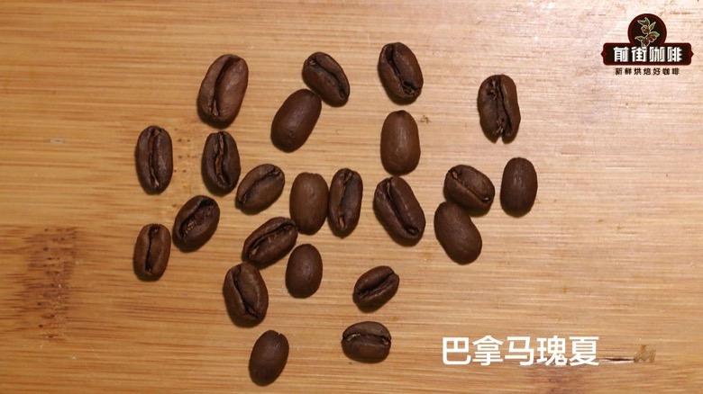 巴拿马瑰夏咖啡豆